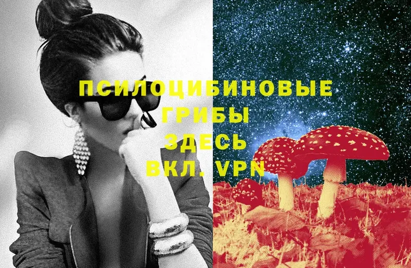 Галлюциногенные грибы MAGIC MUSHROOMS  сколько стоит  Еманжелинск 